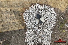 spring street culvert extension 11.2025 6