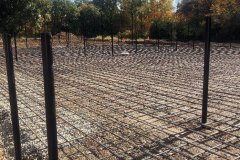 sterkel-park-1.4.24-6